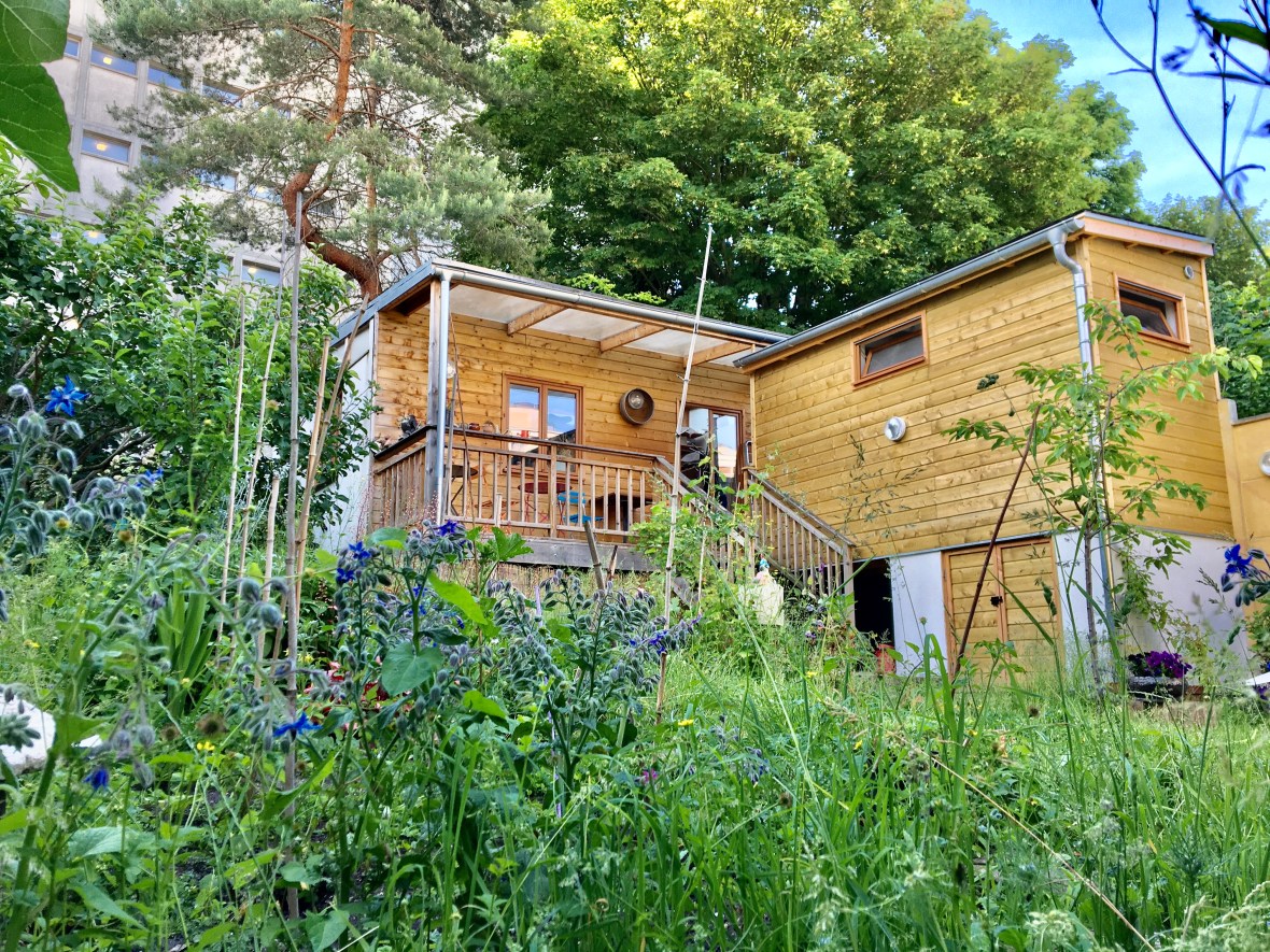 photo chalet et annexe